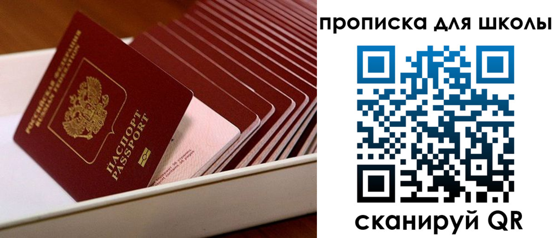 временная регистрация гарантия в Нелидово